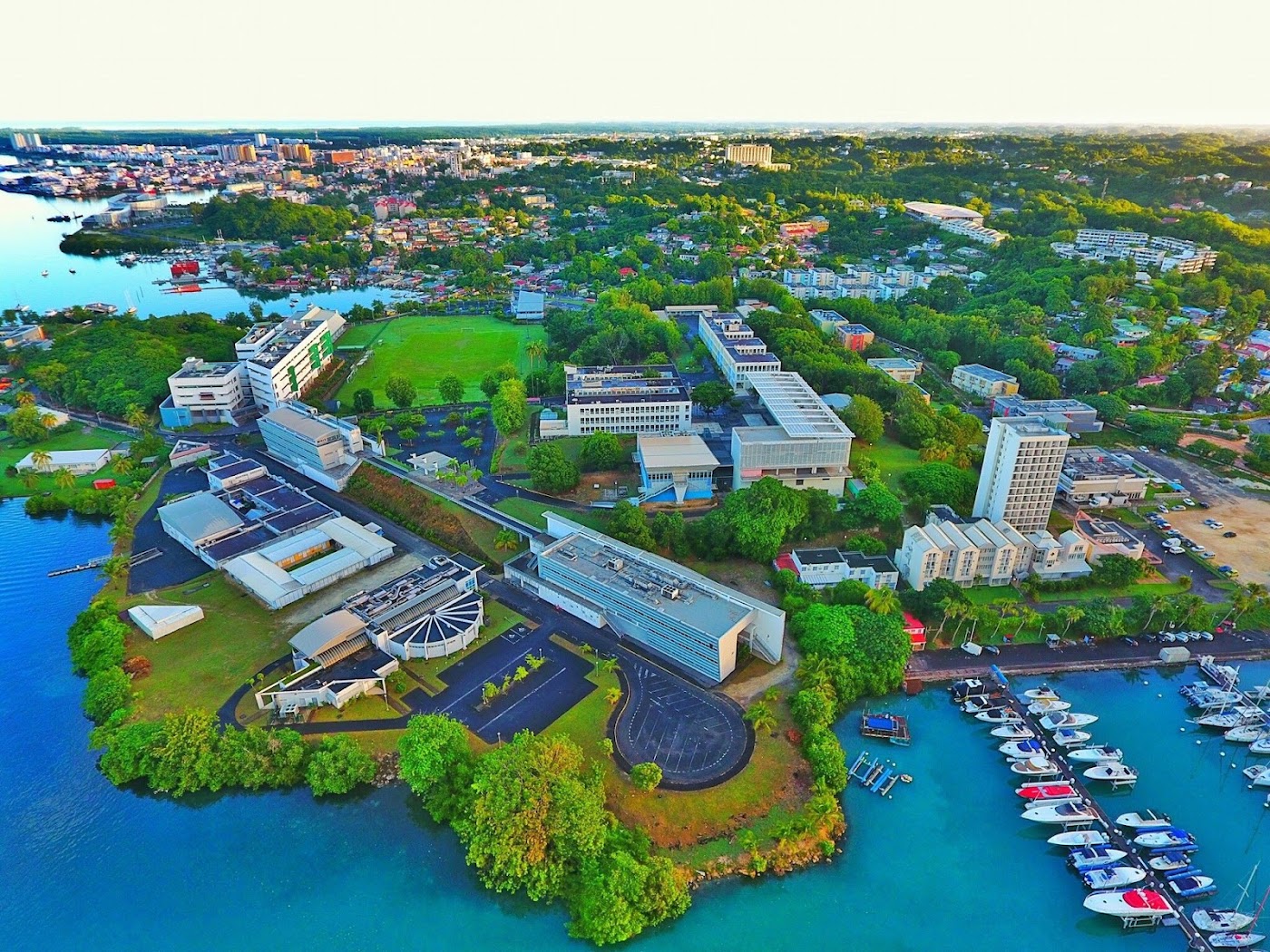 University of the French West Indies