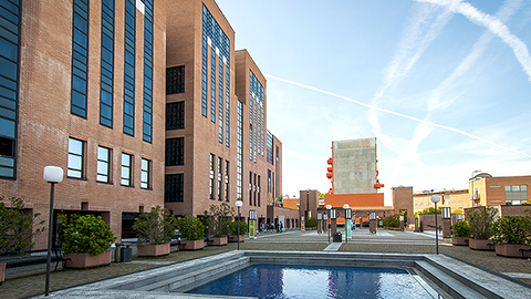 Free University of Languages and Communication