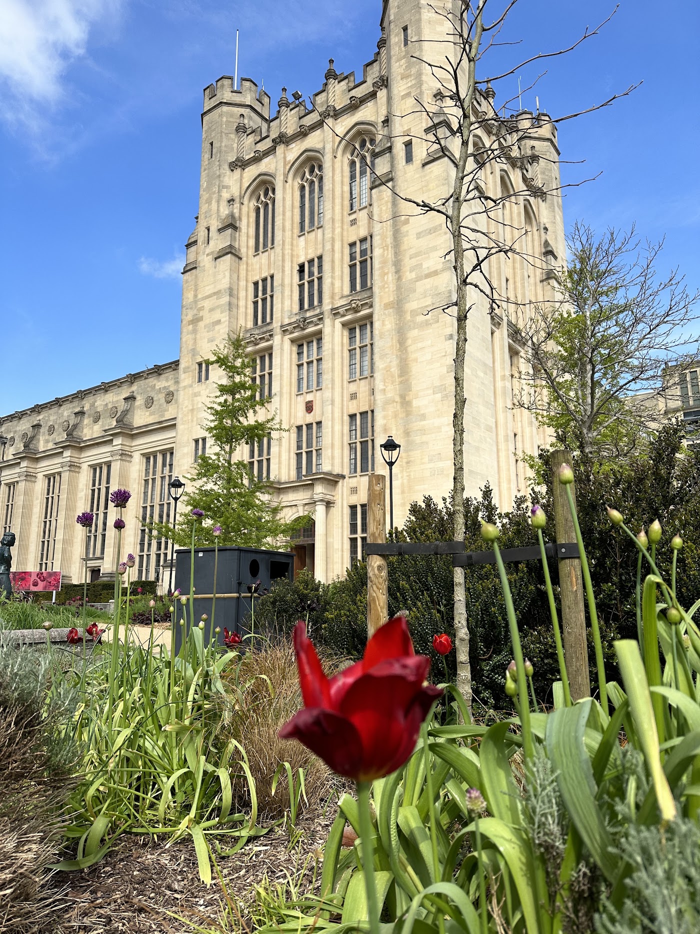 The University of Bristol