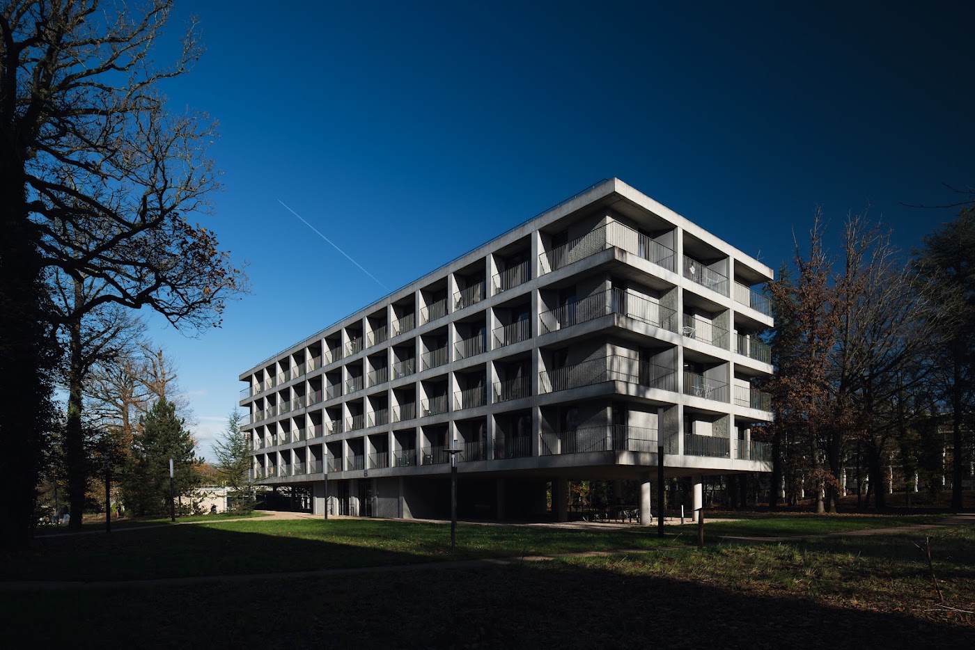 HEC Paris