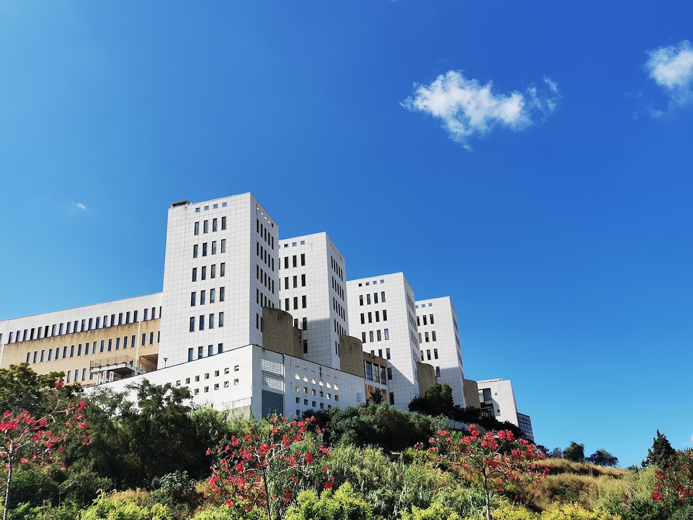 Università Mediterranea of Reggio Calabria