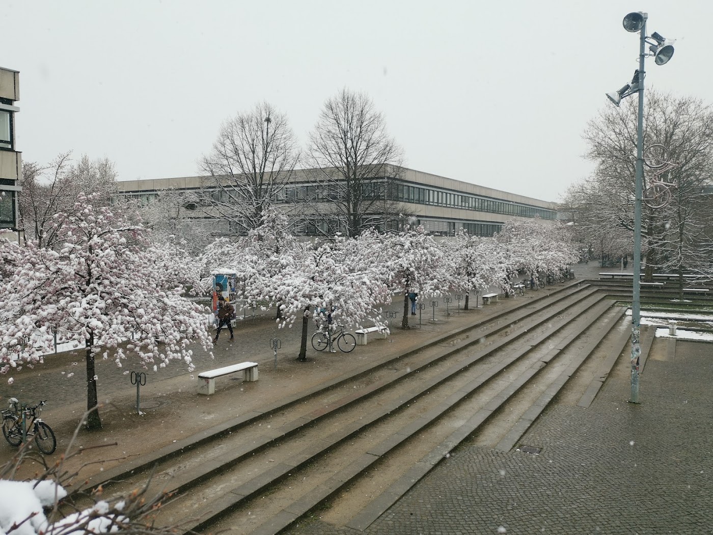 Georg August Göttingen University