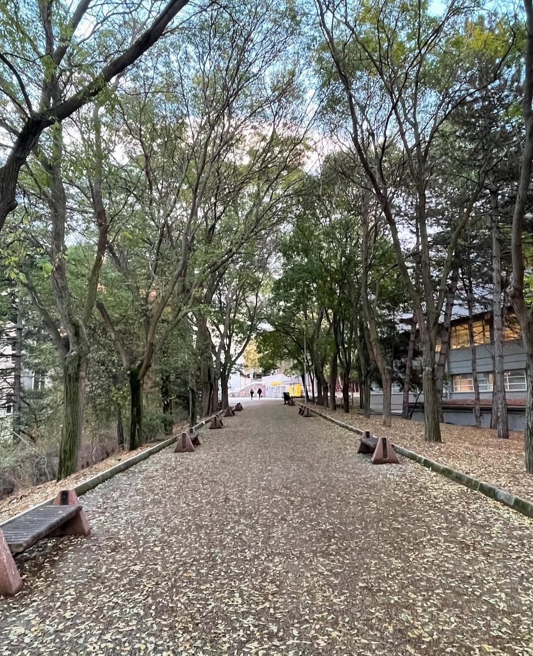 Hacettepe University