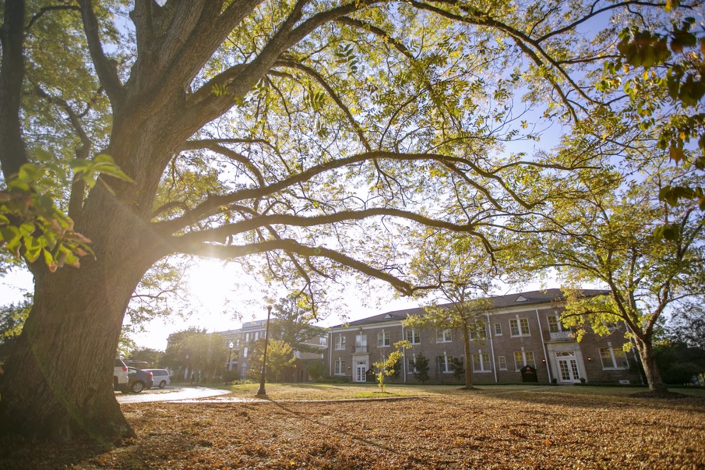 University of West Alabama