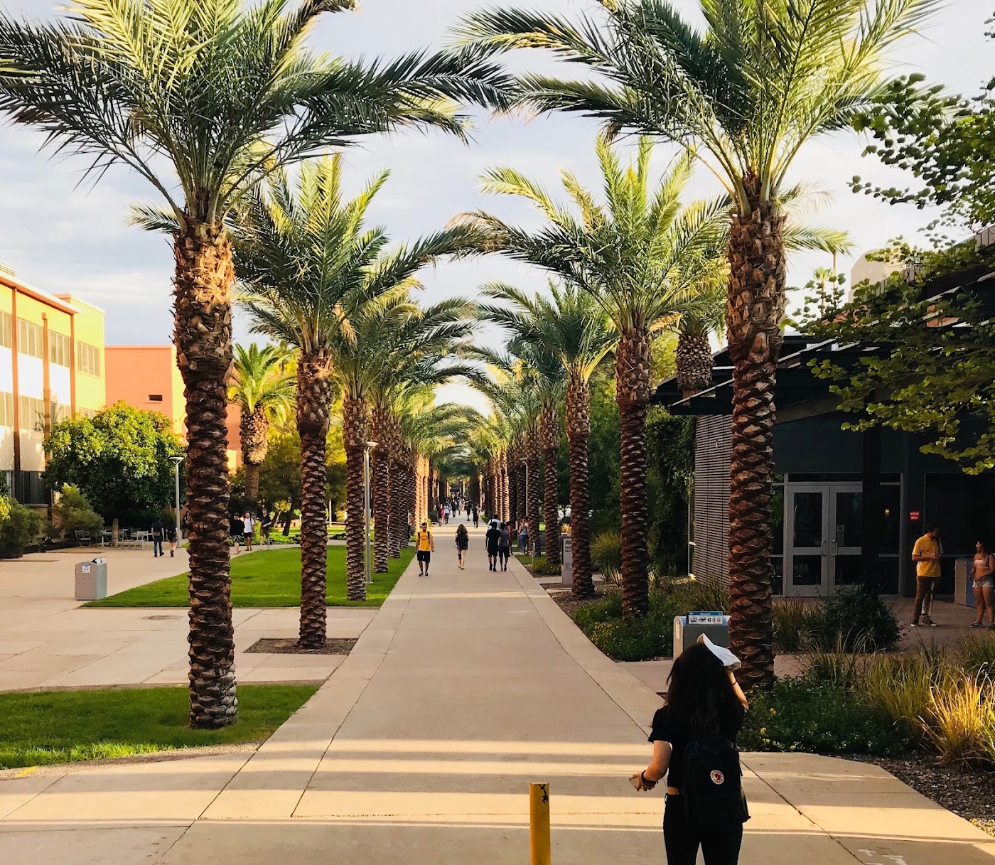 Arizona State University