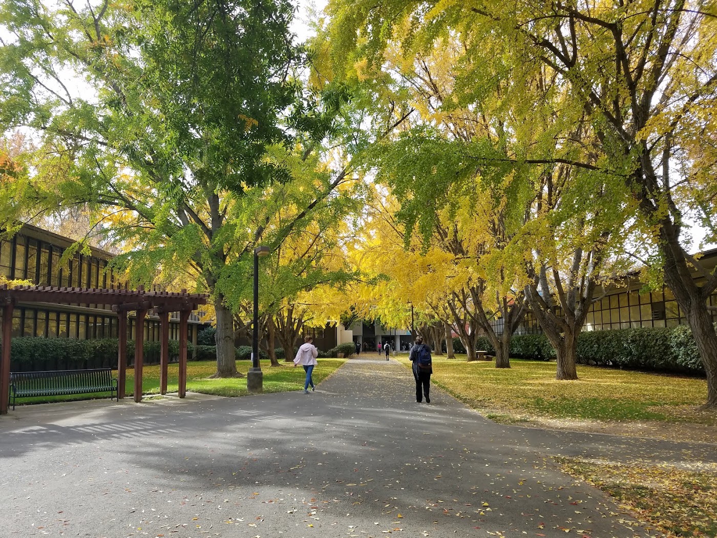 California State University-Sacramento