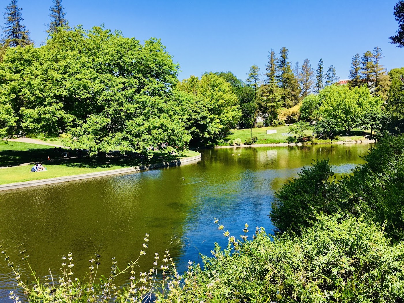 University of California-Davis
