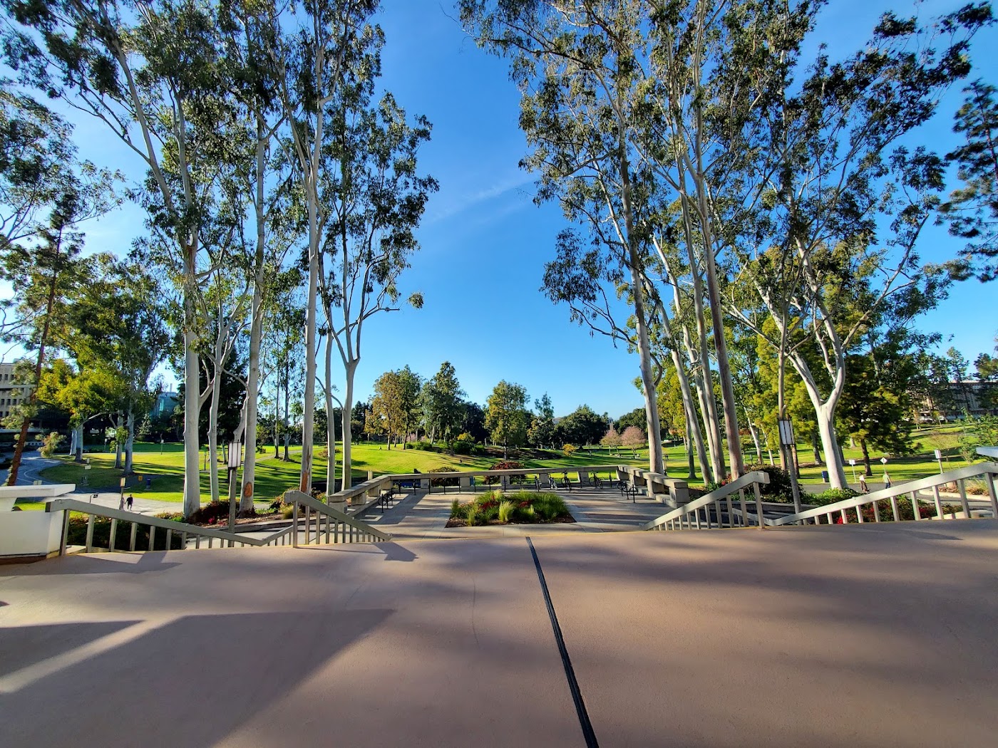 University of California-Irvine