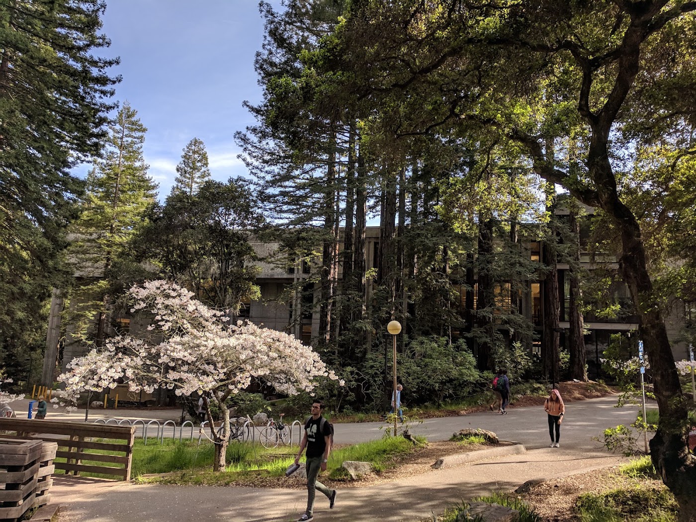 University of California-Santa Cruz
