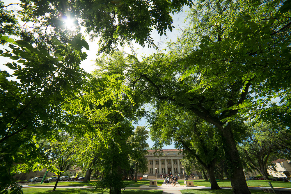 Colorado State University-Fort Collins