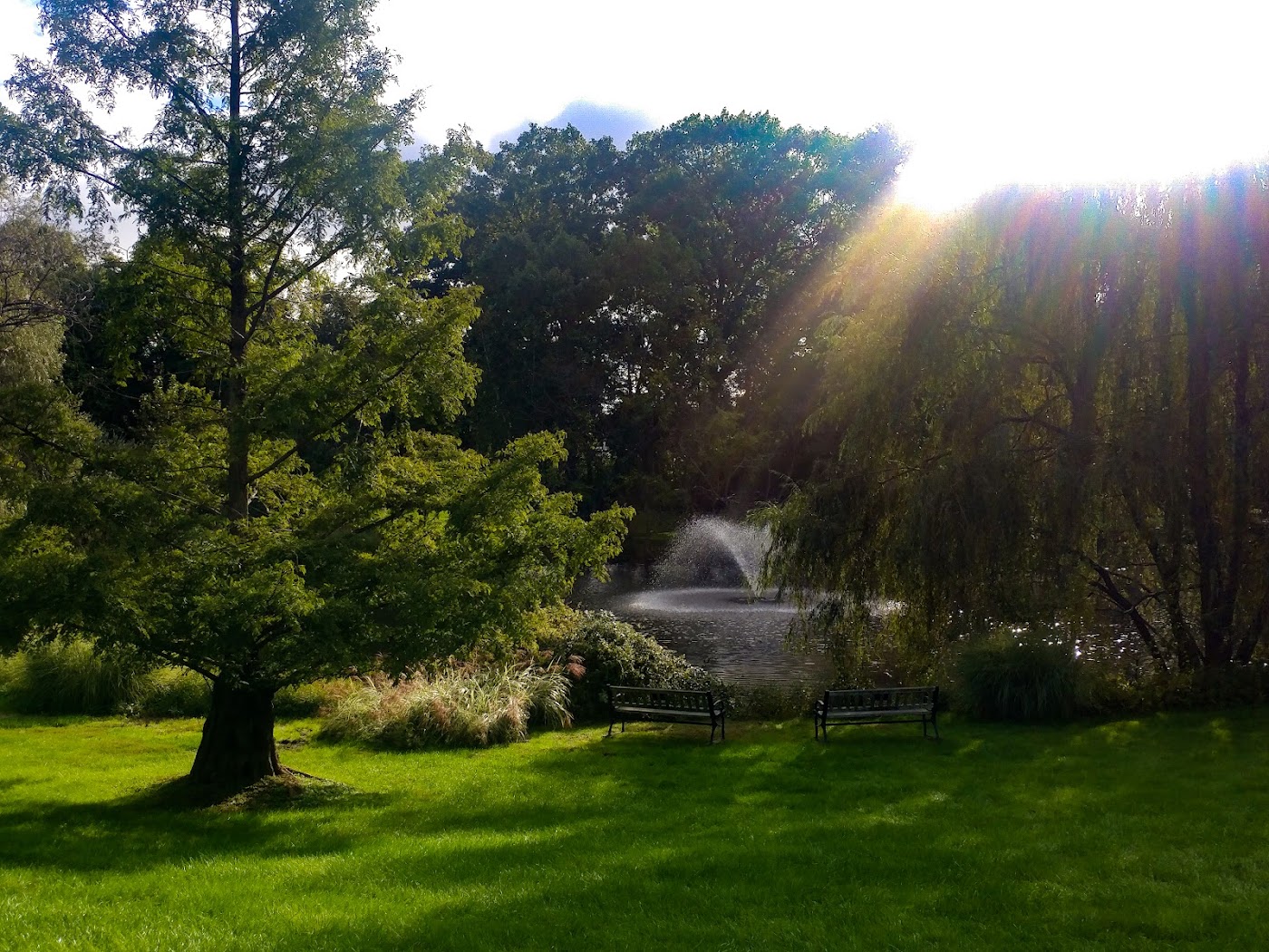 Fairfield University