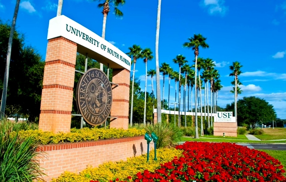 University of South Florida