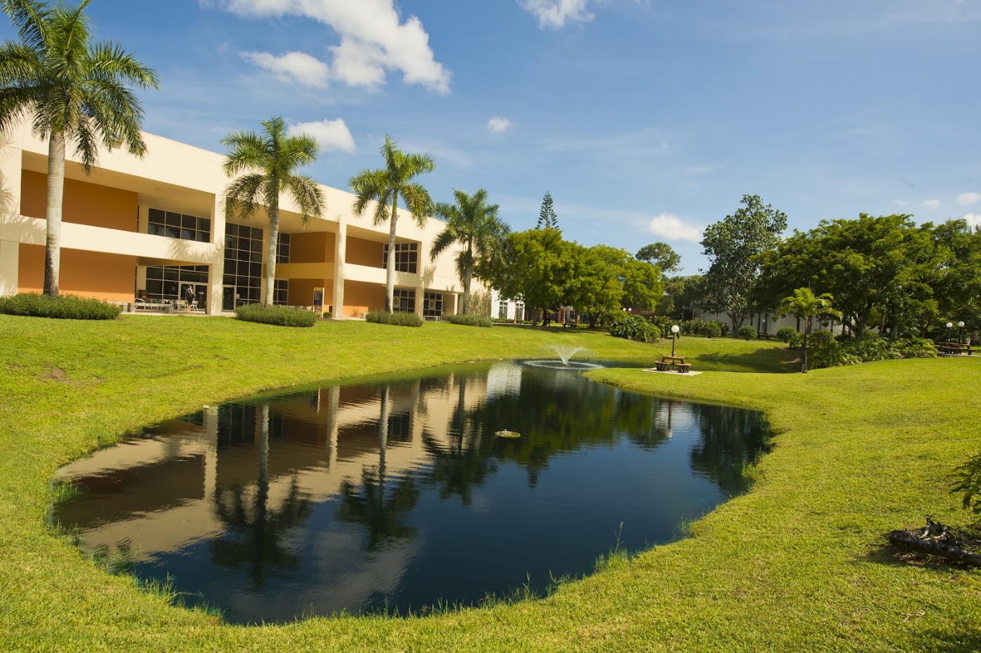St. Thomas University