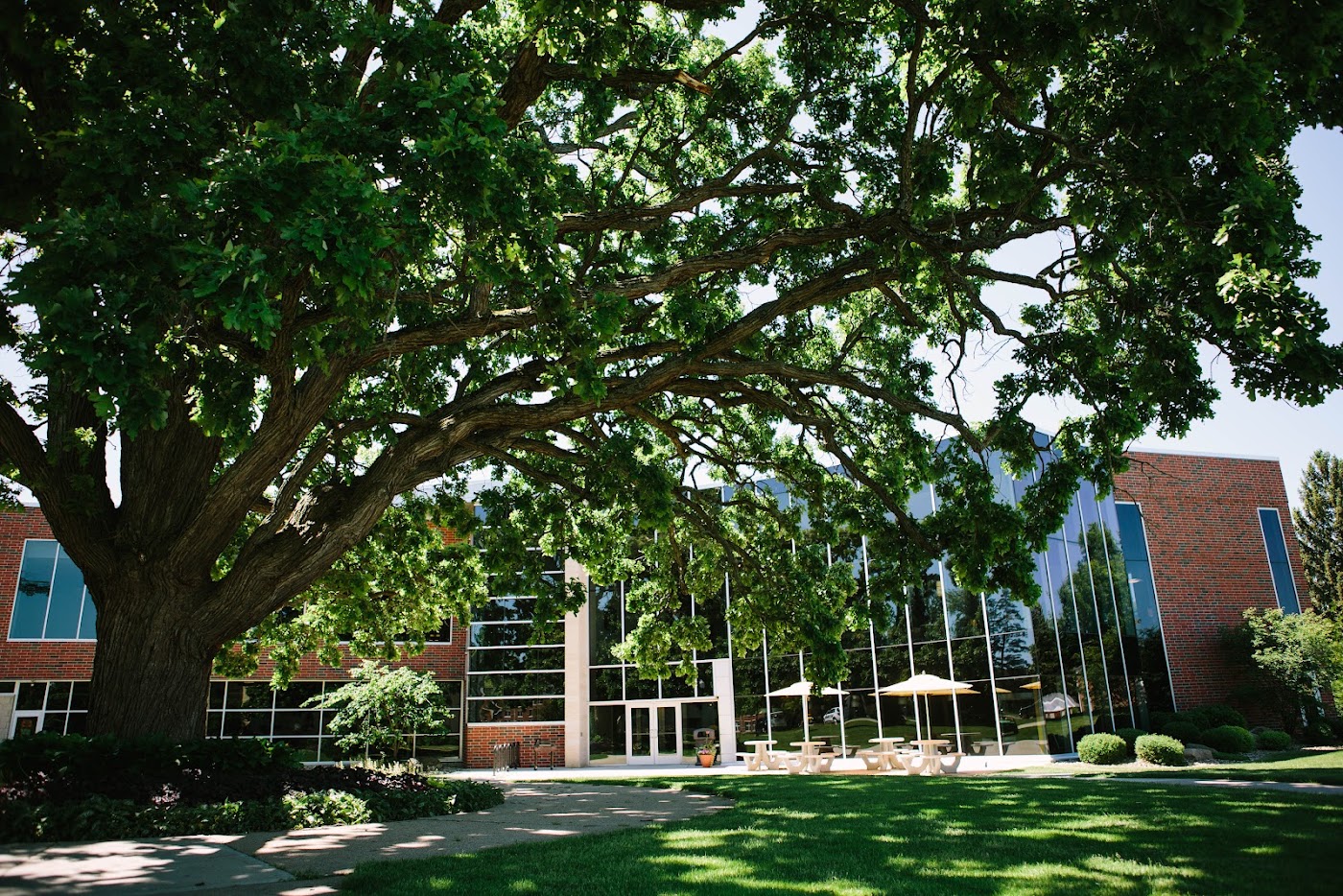 Spring Arbor University