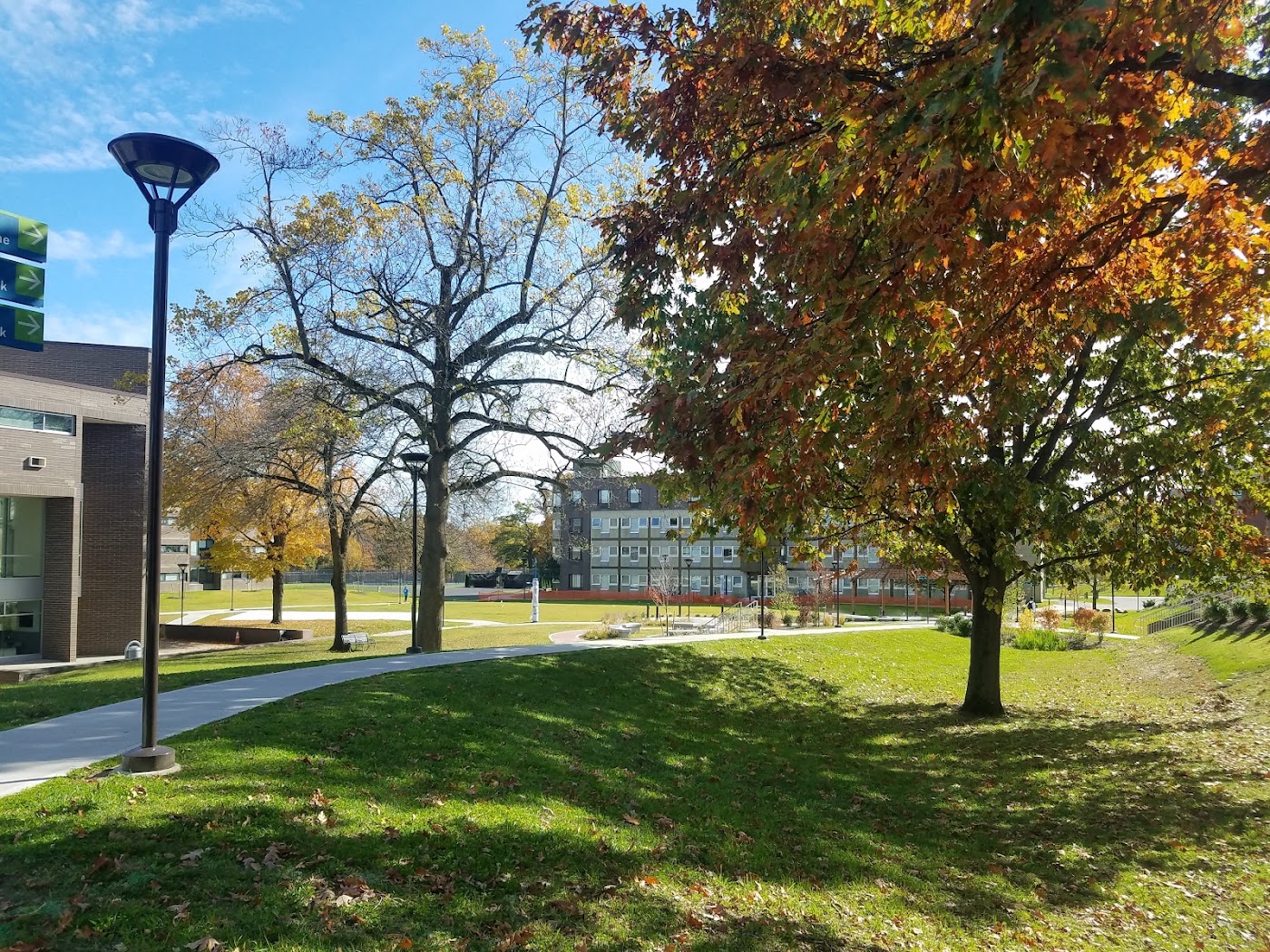 SUNY at Purchase College