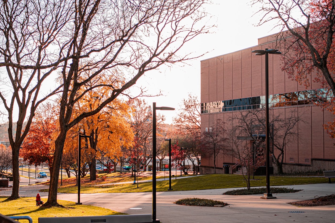 Youngstown State University