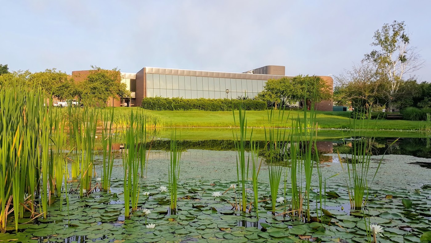 Bryant University