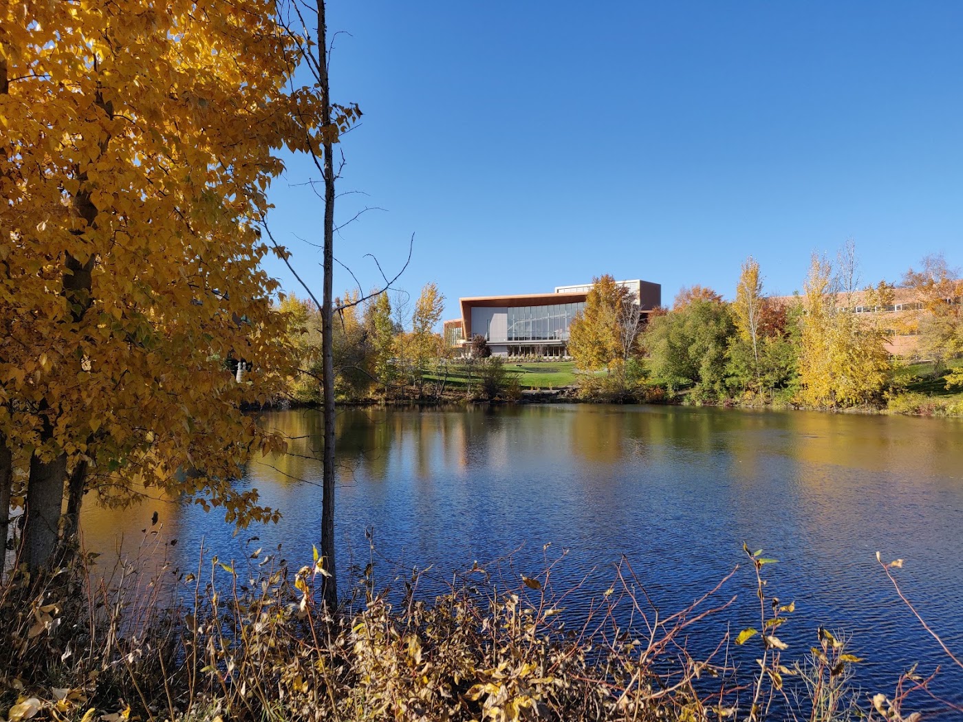 Gonzaga University