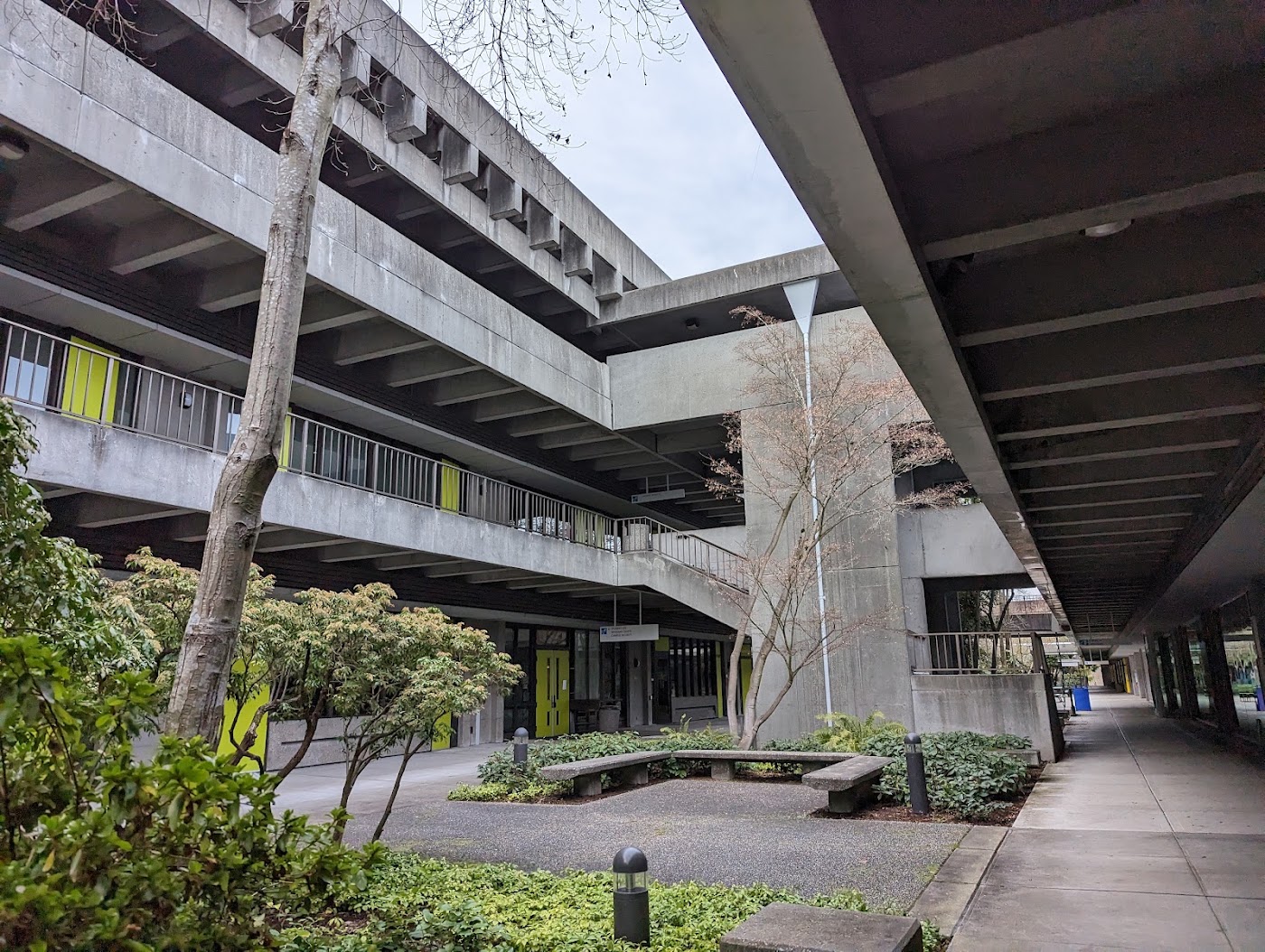 North Seattle College